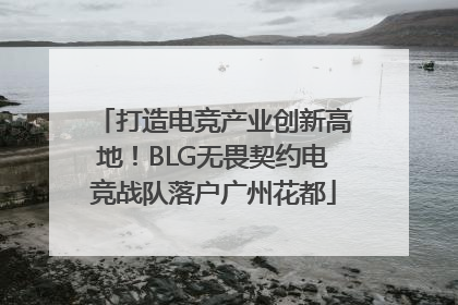 打造电竞产业创新高地！BLG无畏契约电竞战队落户广州花都