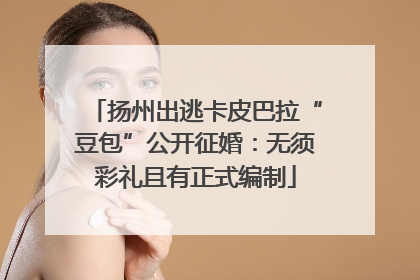 扬州出逃卡皮巴拉“豆包”公开征婚：无须彩礼且有正式编制