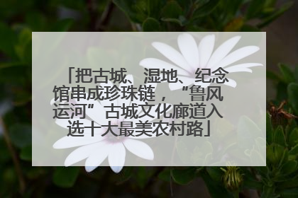 把古城、湿地、纪念馆串成珍珠链，“鲁风运河”古城文化廊道入选十大最美农村路