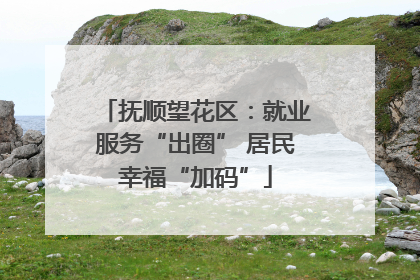 抚顺望花区：就业服务“出圈” 居民幸福“加码”