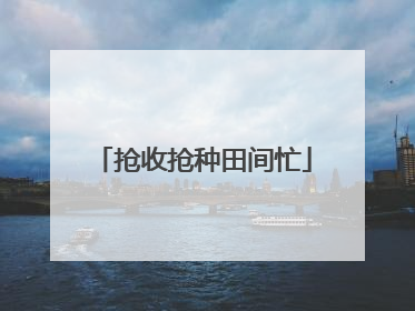 抢收抢种田间忙
