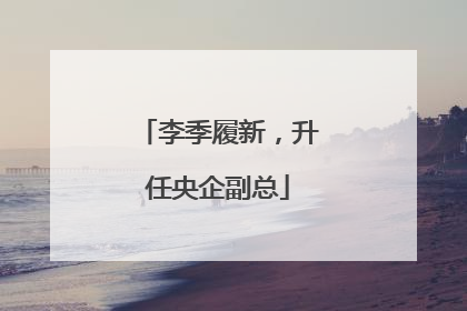 李季履新，升任央企副总