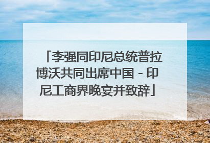 李强同印尼总统普拉博沃共同出席中国－印尼工商界晚宴并致辞