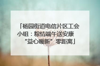 杨园街道电信片区工会小组：粽情端午送安康 “益心暖新”零距离