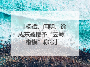 杨斌、闻明、徐成东被授予“云岭楷模”称号