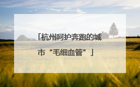 杭州呵护奔跑的城市“毛细血管”