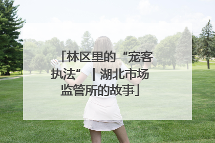 林区里的“宠客执法”｜湖北市场监管所的故事