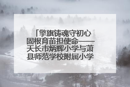 擎旗铸魂守初心 固根育苗担使命——天长市炳辉小学与萧县师范学校附属小学结对共建活动纪实