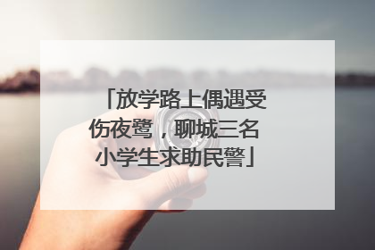 放学路上偶遇受伤夜鹭，聊城三名小学生求助民警