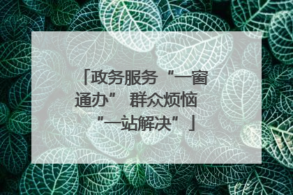 政务服务“一窗通办” 群众烦恼“一站解决”