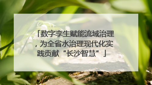 数字孪生赋能流域治理，为全省水治理现代化实践贡献“长沙智慧”