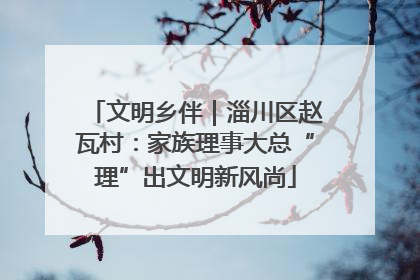 文明乡伴｜淄川区赵瓦村：家族理事大总“理”出文明新风尚