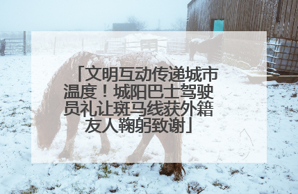 文明互动传递城市温度！城阳巴士驾驶员礼让斑马线获外籍友人鞠躬致谢