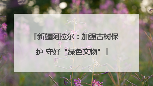 新疆阿拉尔：加强古树保护 守好“绿色文物”