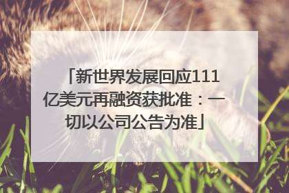 新世界发展回应111亿美元再融资获批准：一切以公司公告为准