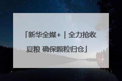 新华全媒+｜全力抢收夏粮 确保颗粒归仓