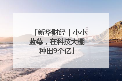 新华财经｜小小蓝莓，在科技大棚种出9个亿