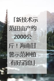 新技术示范田亩产约2000公斤！海南甘薯示范种植有好消息