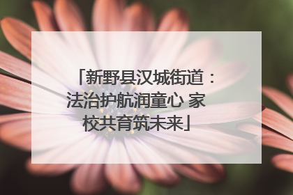 新野县汉城街道：法治护航润童心 家校共育筑未来