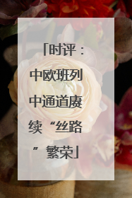 时评：中欧班列中通道赓续“丝路”繁荣