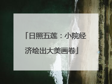 日照五莲：小院经济绘出大美画卷