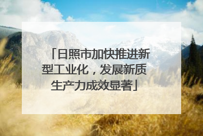 日照市加快推进新型工业化，发展新质生产力成效显著