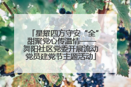 星耀四方守安“全” 甜聚党心传温情——舞阳社区党委开展流动党员建党节主题活动