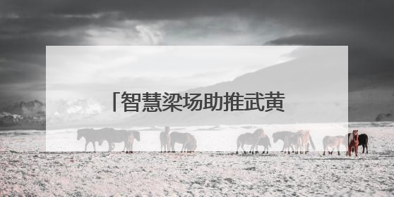 智慧梁场助推武黄改扩建项目建设