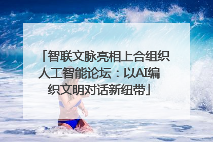 智联文脉亮相上合组织人工智能论坛：以AI编织文明对话新纽带
