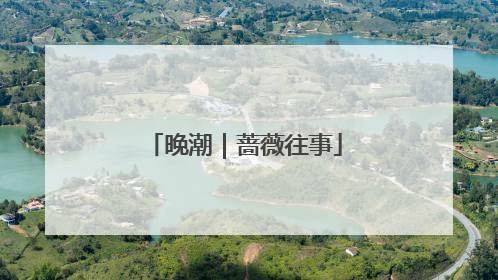 晚潮｜蔷薇往事