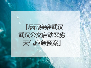 暴雨突袭武汉 武汉公交启动恶劣天气应急预案