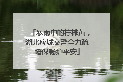 暴雨中的柠檬黄，湖北应城交警全力疏堵保畅护平安