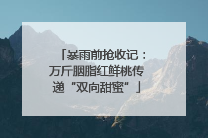 暴雨前抢收记：万斤胭脂红鲜桃传递“双向甜蜜”