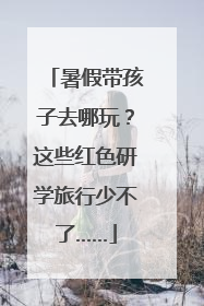 暑假带孩子去哪玩？这些红色研学旅行少不了……