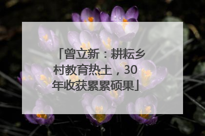 曾立新：耕耘乡村教育热土，30年收获累累硕果