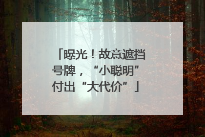 曝光！故意遮挡号牌，“小聪明”付出“大代价”