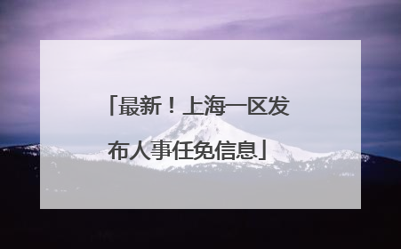 最新！上海一区发布人事任免信息