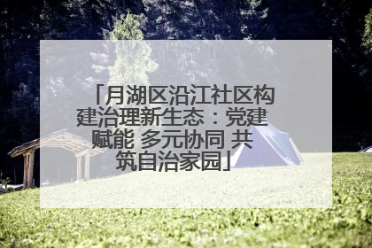 月湖区沿江社区构建治理新生态：党建赋能 多元协同 共筑自治家园
