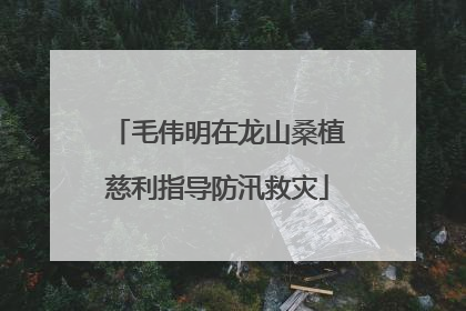 毛伟明在龙山桑植慈利指导防汛救灾