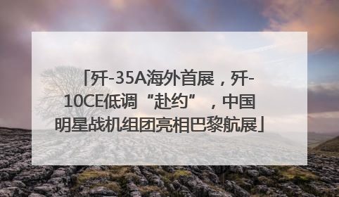 歼-35A海外首展，歼-10CE低调“赴约”，中国明星战机组团亮相巴黎航展