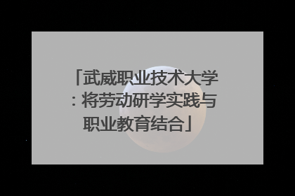武威职业技术大学：将劳动研学实践与职业教育结合
