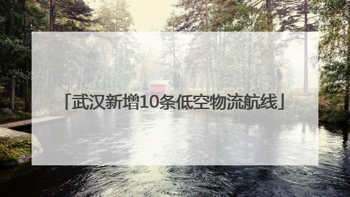 武汉新增10条低空物流航线