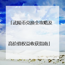 武陵币兑换全攻略及高价值权益收获指南