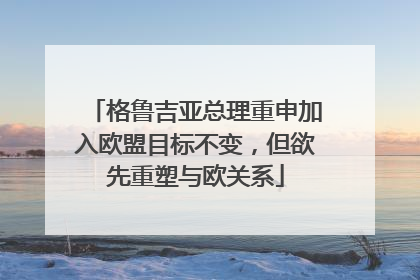 格鲁吉亚总理重申加入欧盟目标不变，但欲先重塑与欧关系