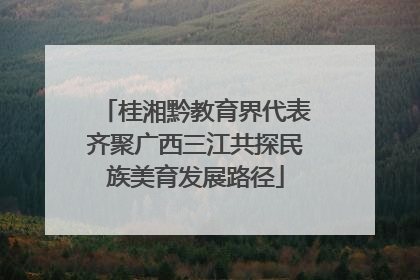 桂湘黔教育界代表齐聚广西三江共探民族美育发展路径