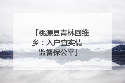 桃源县青林回维乡：入户查实情 监督保公平
