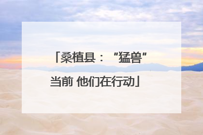 桑植县：“猛兽”当前 他们在行动
