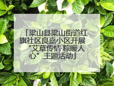 梁山县梁山街道红旗社区良嘉小区开展“艾草传情·粽暖人心”主题活动