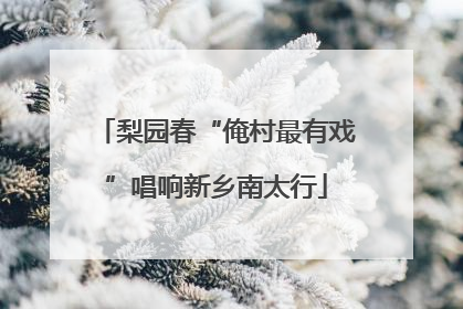 梨园春“俺村最有戏”唱响新乡南太行