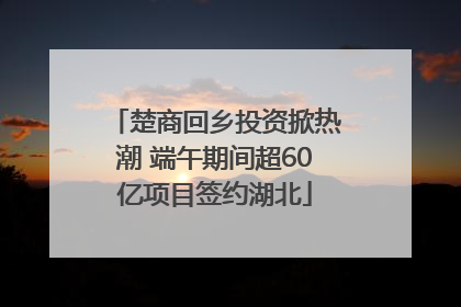 楚商回乡投资掀热潮 端午期间超60亿项目签约湖北